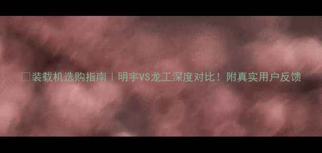 图片 📌装载机选购指南｜明宇VS龙工深度对比！附真实用户反馈