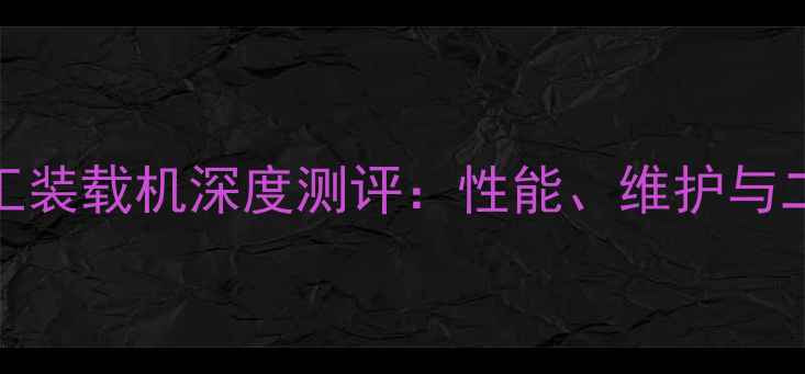 图片 🔥12年50台龙工装载机深度测评：性能、维护与二手市场行情全