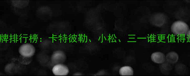 70吨挖掘机品牌排行榜卡特彼勒小松三一谁更值得选附选购指南