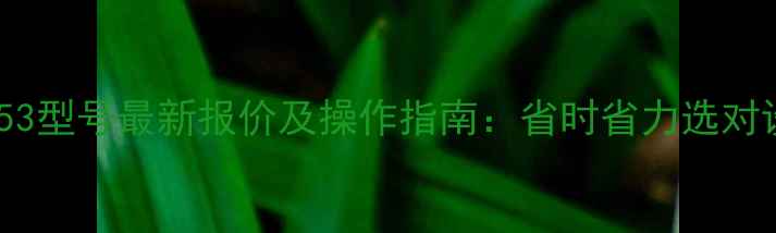 图片 🔥临工铲车953型号最新报价及操作指南：省时省力选对设备很重要！