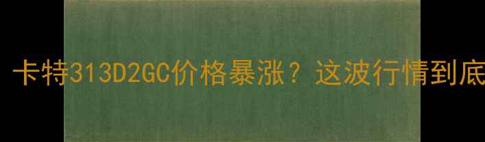 图片 🔥党预警：卡特313D2GC价格暴涨？这波行情到底怎么玩？2
