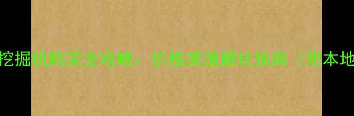 宁波二手挖掘机购买全攻略价格渠道避坑指南附本地资源清单