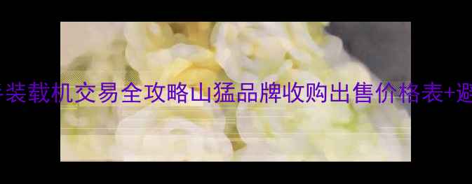 山东二手装载机交易全攻略山猛品牌收购出售价格表避坑指南