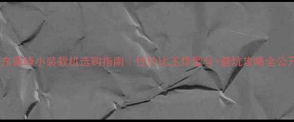 山东聚峰小装载机选购指南性价比王炸型号避坑攻略全公开