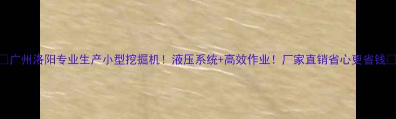 广州洛阳专业生产小型挖掘机液压系统高效作业厂家直销省心更省钱