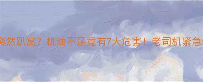 图片 🔥挖掘机突然趴窝？机油不足竟有7大危害！老司机紧急维修指南1
