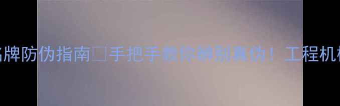 图片 🔥挖掘机铭牌防伪指南🔍手把手教你辨别真伪！工程机械避坑必看