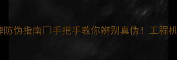 图片 🔥挖掘机铭牌防伪指南🔍手把手教你辨别真伪！工程机械避坑必看2