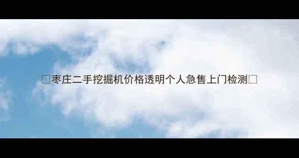 枣庄二手挖掘机价格透明个人急售上门检测