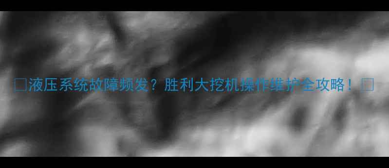 图片 🔥液压系统故障频发？胜利大挖机操作维护全攻略！🔥