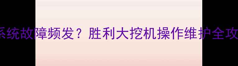 图片 🔥液压系统故障频发？胜利大挖机操作维护全攻略！🔥1