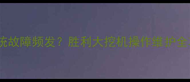 液压系统故障频发胜利大挖机操作维护全攻略
