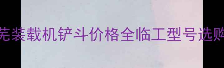 莱芜装载机铲斗价格全临工型号选购指南