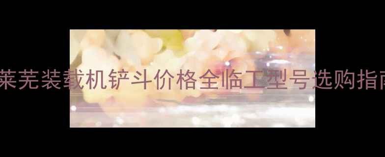 图片 🔥莱芜装载机铲斗价格全临工型号选购指南1