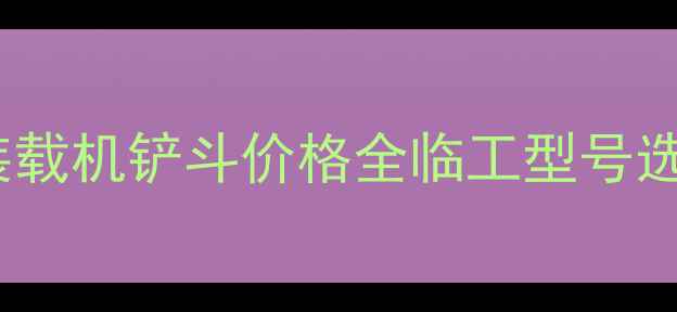 图片 🔥莱芜装载机铲斗价格全临工型号选购指南2