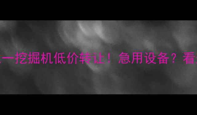 图片 🔥邯郸三一挖掘机低价转让！急用设备？看这里！🔥