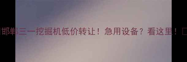 图片 🔥邯郸三一挖掘机低价转让！急用设备？看这里！🔥1