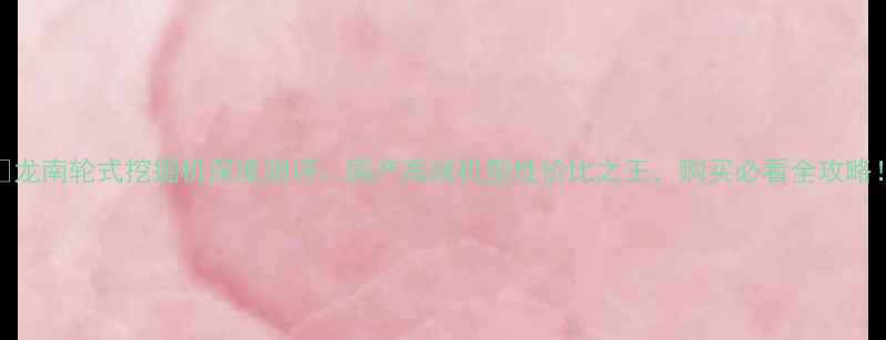 龙南轮式挖掘机深度测评国产高端机型性价比之王购买必看全攻略