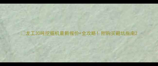 图片 🔥龙工30吨挖掘机最新报价+全攻略！附购买避坑指南2