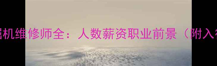 中国挖掘机维修师全人数薪资职业前景附入行指南