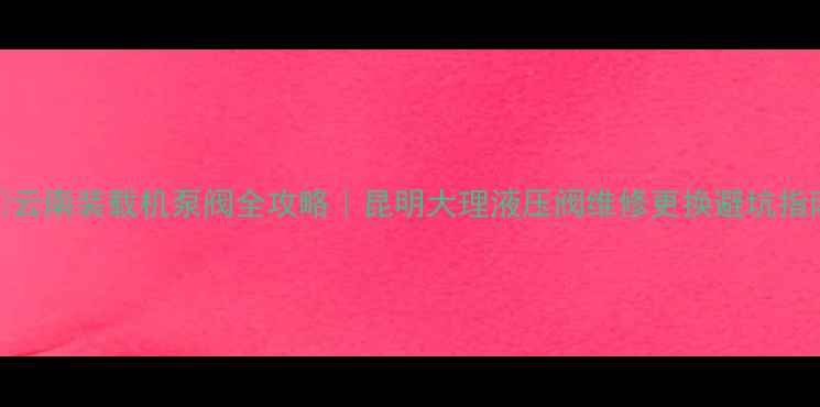 云南装载机泵阀全攻略昆明大理液压阀维修更换避坑指南