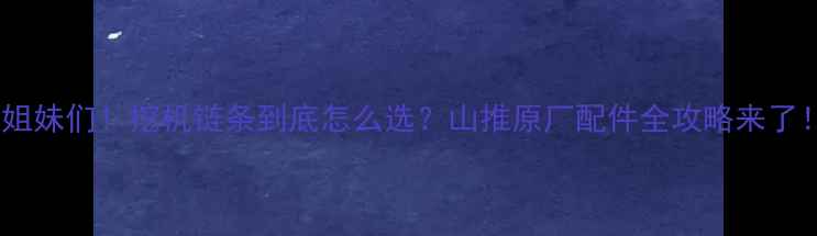 姐妹们挖机链条到底怎么选山推原厂配件全攻略来了