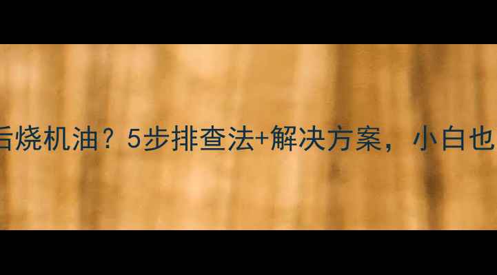 图片 🔧挖机大修后烧机油？5步排查法+解决方案，小白也能搞定！🔧2