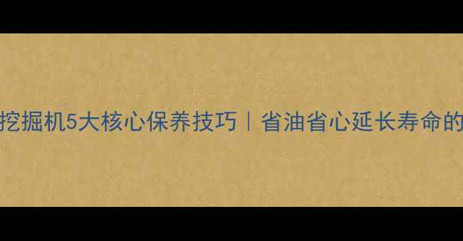 斗山D系列挖掘机5大核心保养技巧省油省心延长寿命的保姆级指南