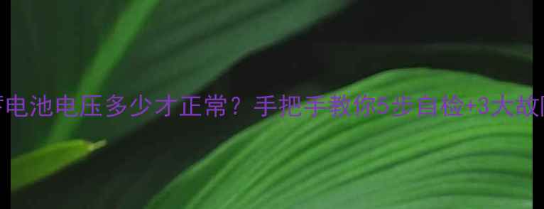 图片 🔧💡挖机蓄电池电压多少才正常？手把手教你5步自检+3大故障修复技巧