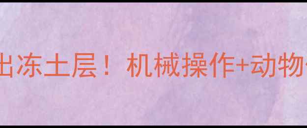 冬眠蛇竟被挖掘机撞出冻土层机械操作动物保护双重指南来了
