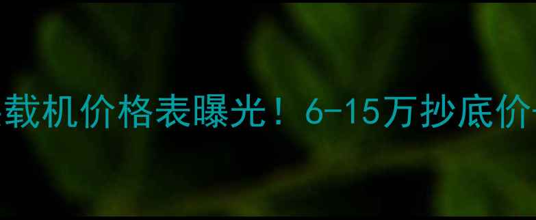 图片 🚜新款徐工装载机价格表曝光！6-15万抄底价+性能升级全2