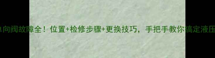 图片 🚜💡挖机单向阀故障全！位置+检修步骤+更换技巧，手把手教你搞定液压系统问题2